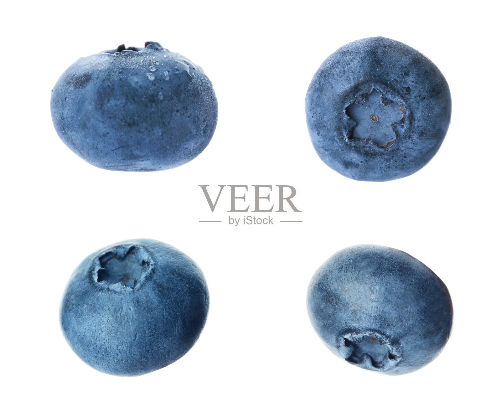 一套新鲜的蓝莓在白色的背景照片摄影图片