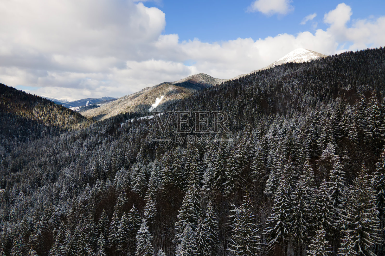 冬季景观与云杉的雪覆盖森林在寒冷的山区。照片摄影图片