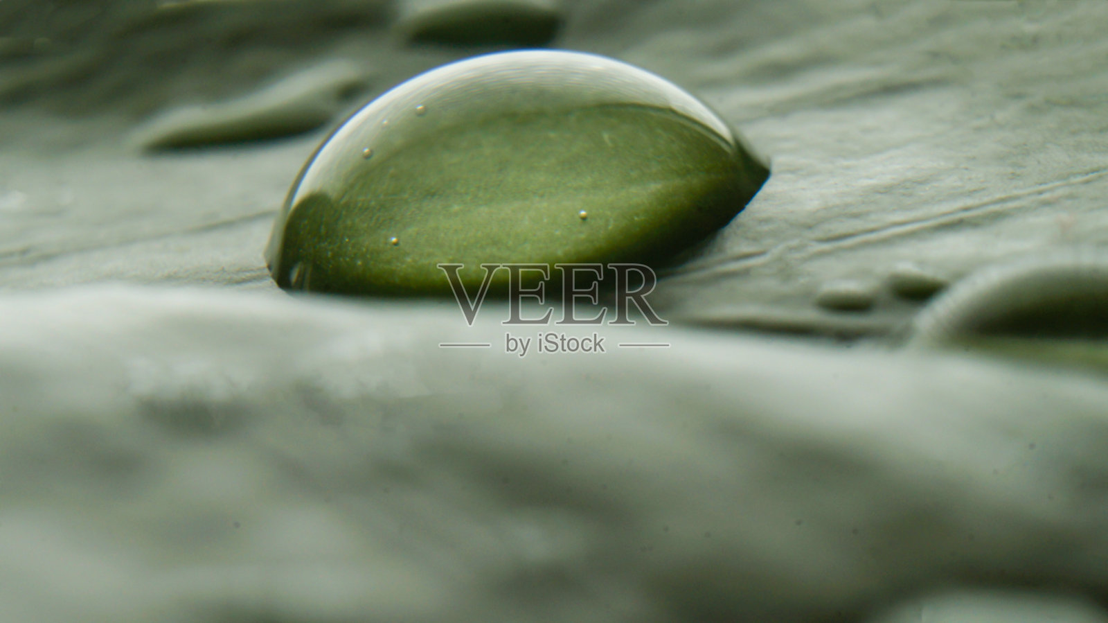 绿叶上的一滴水特写照片摄影图片