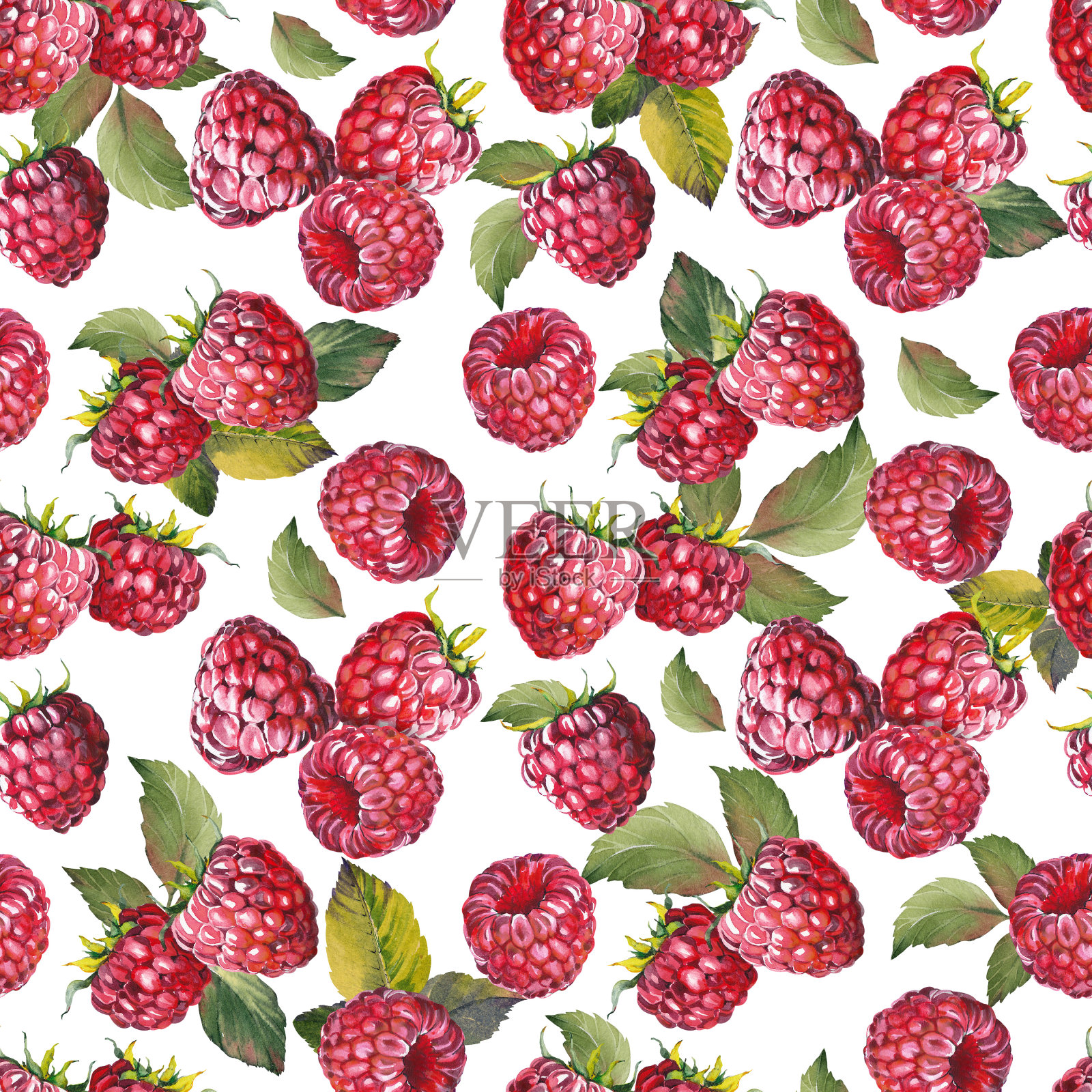 无缝的图案与树莓和树叶。插画图片素材