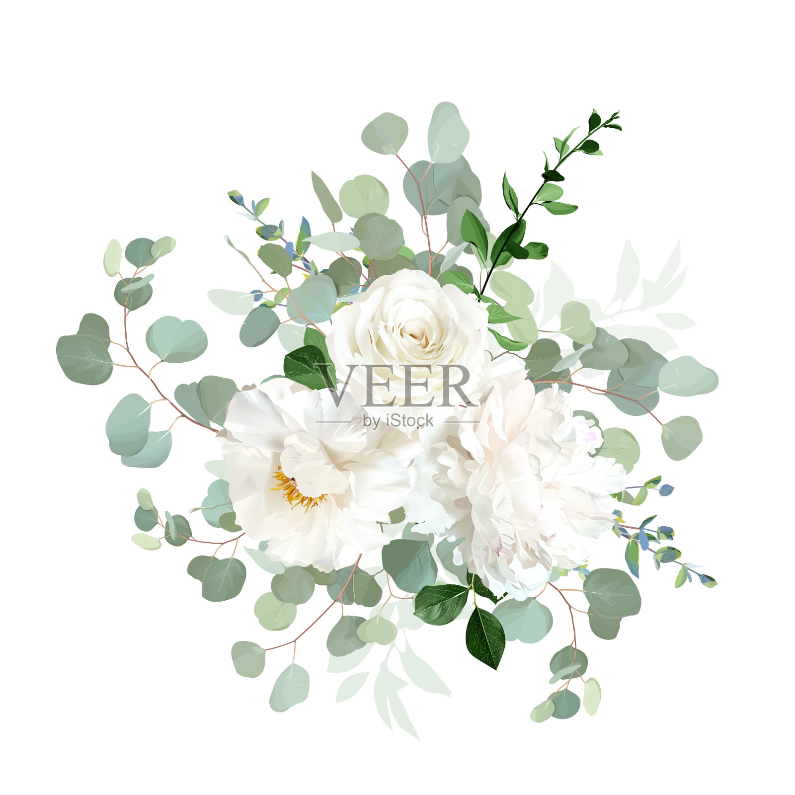 经典的白牡丹、米色玫瑰和毛茛花、桉树、绿叶插画图片素材