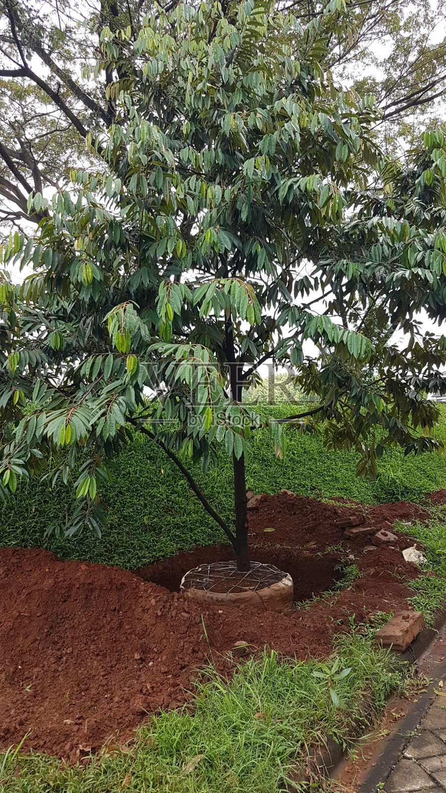 移动工厂搬迁照片摄影图片