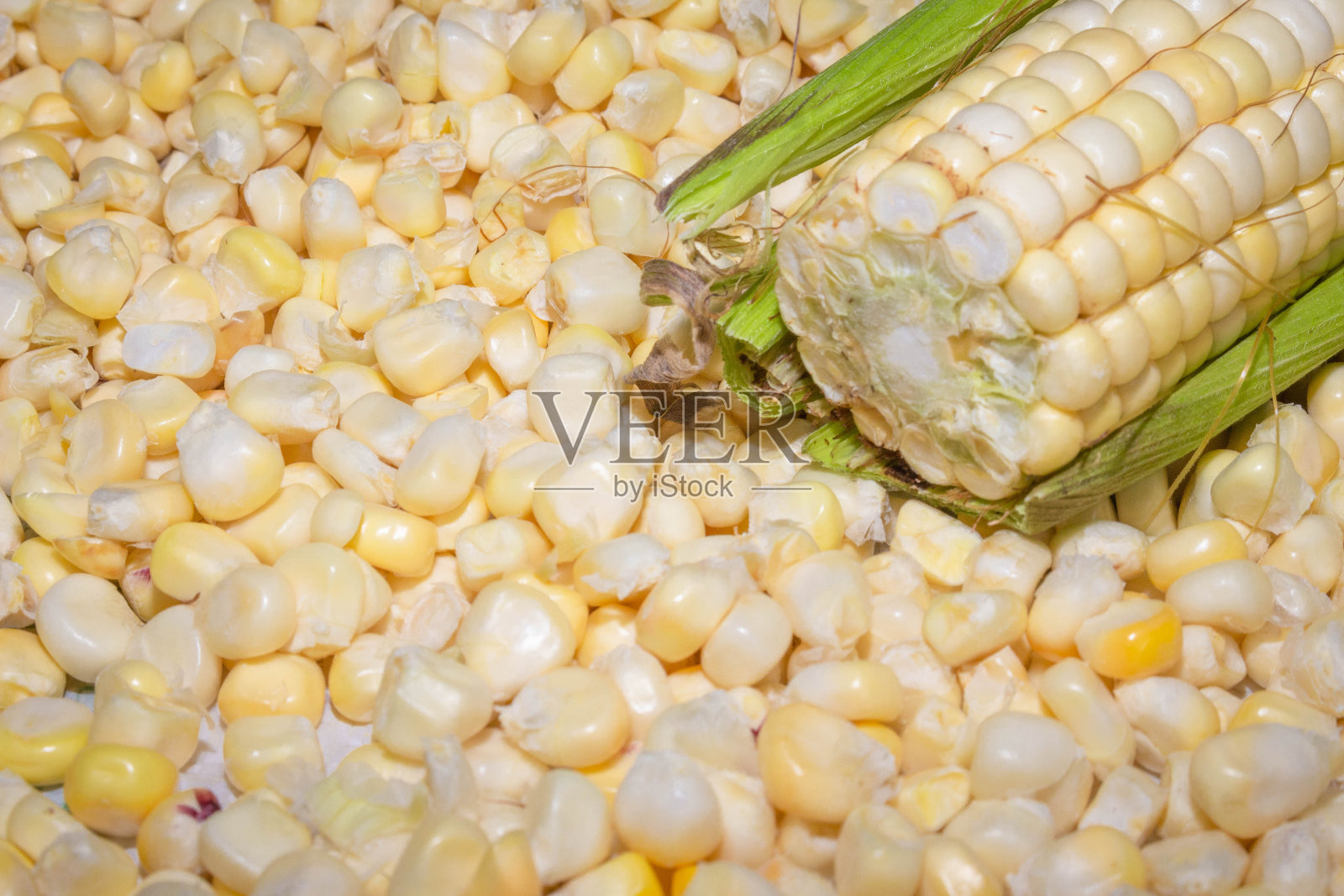 新鲜玉米棒带玉米粒照片摄影图片