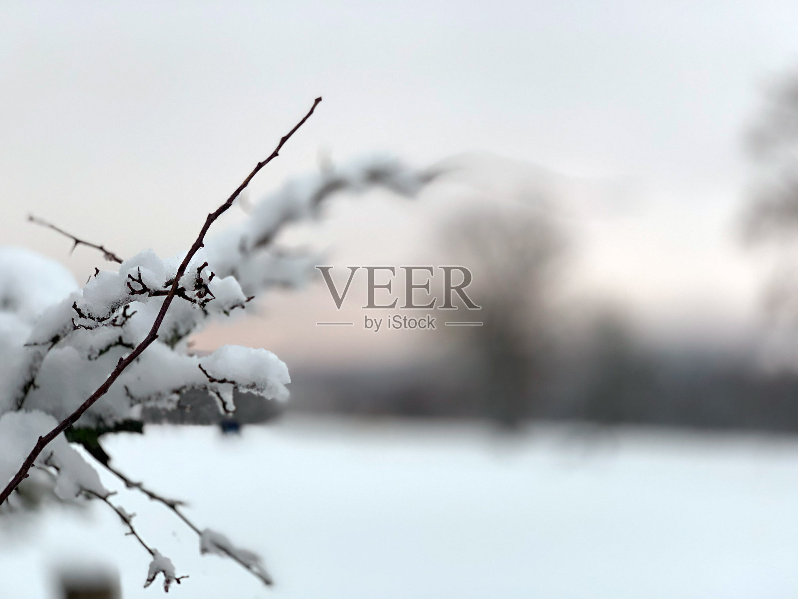 白雪覆盖的性质照片摄影图片