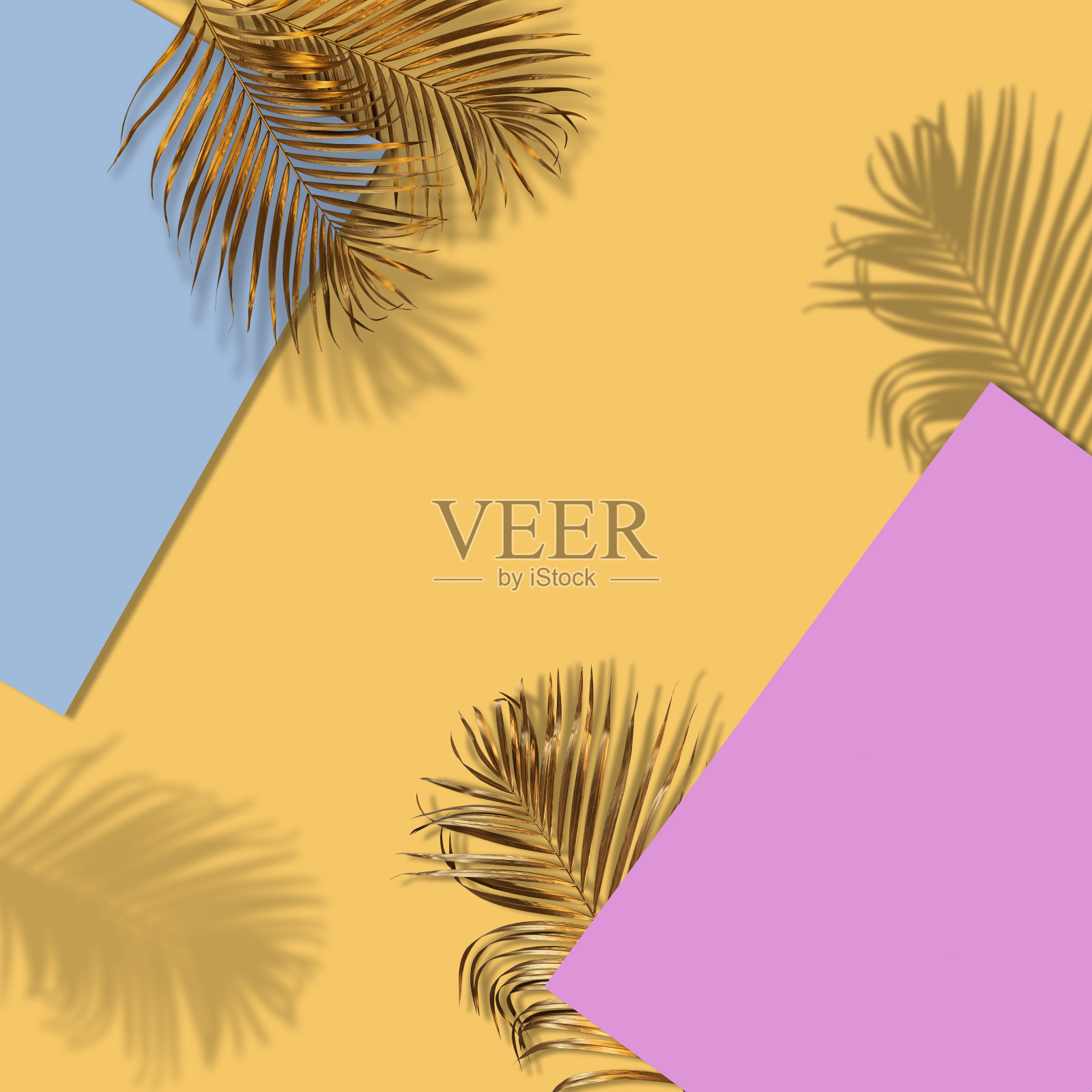 创意布局的彩色热带树叶在金色的背景。最小的夏日异域概念与复制空间。边境的安排。照片摄影图片