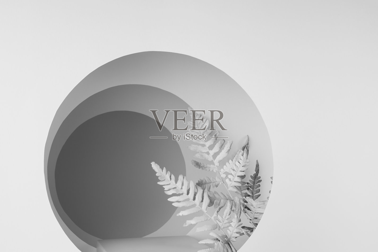 抽象的白色舞台与裙房，隧道的圆移位框架，白色蕨类植物的叶子，透视，阴影，场景模型，在简单的柔和光花卉风格为呈现化妆品或商品。照片摄影图片