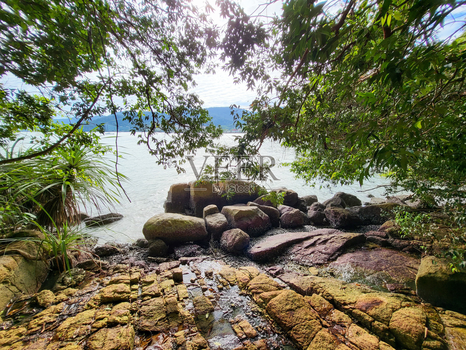 从马来西亚槟城国家公园的徒步小道上看到的岩石海滩。照片摄影图片