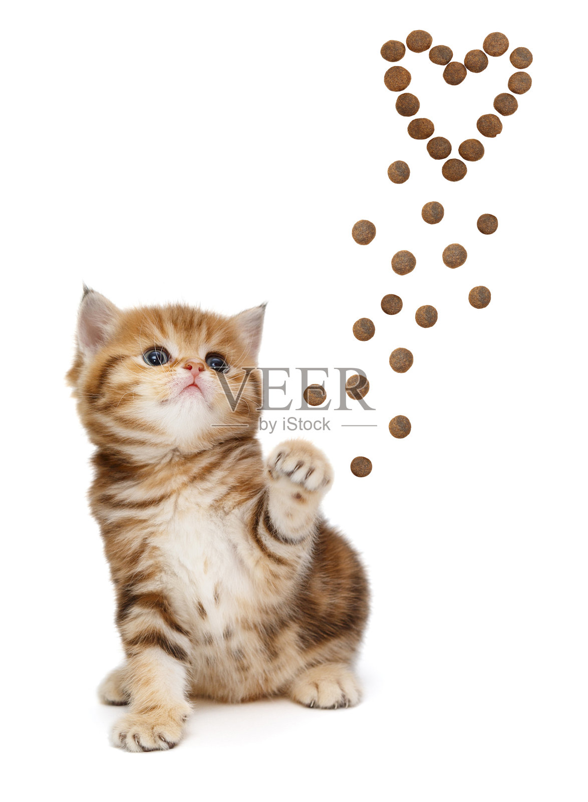小猫和干粮做成心形照片摄影图片