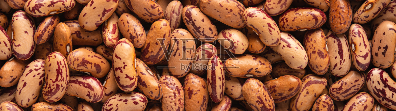 斑豆斑豆特写横幅全景照片摄影图片