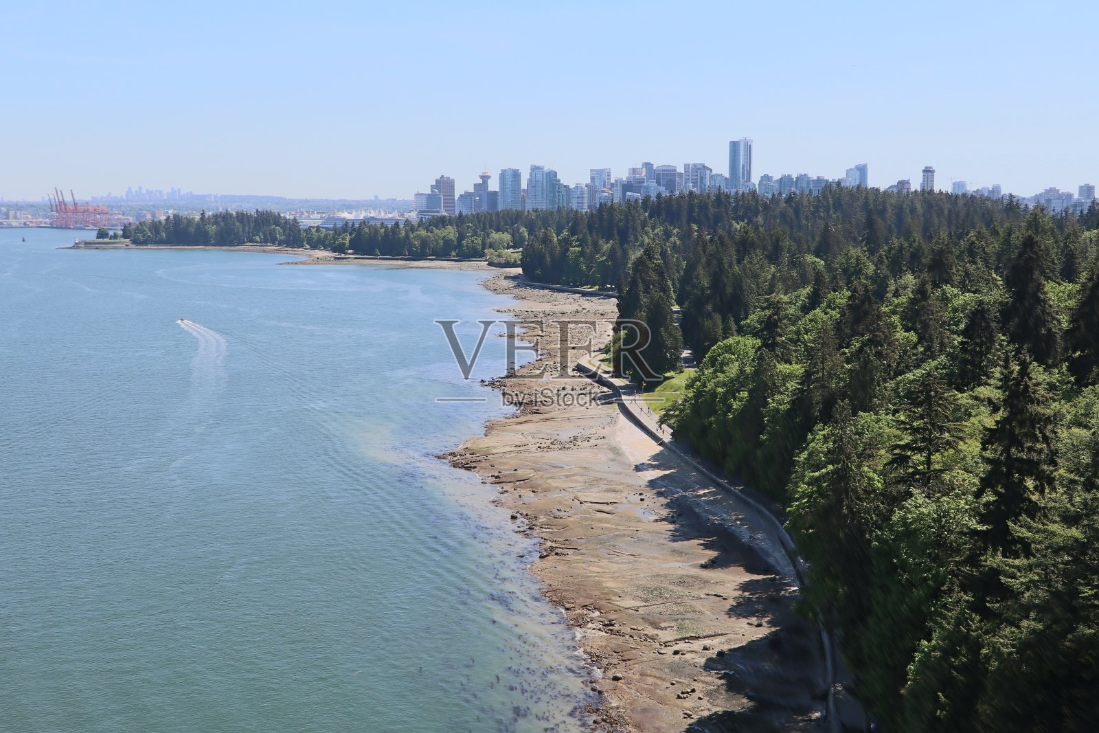 穿越加拿大不列颠哥伦比亚省班夫和贾斯珀国家公园的美妙公路之旅。温哥华精彩的一天。加拿大的自然景色真美，有这么多的动物和山脉。照片摄影图片