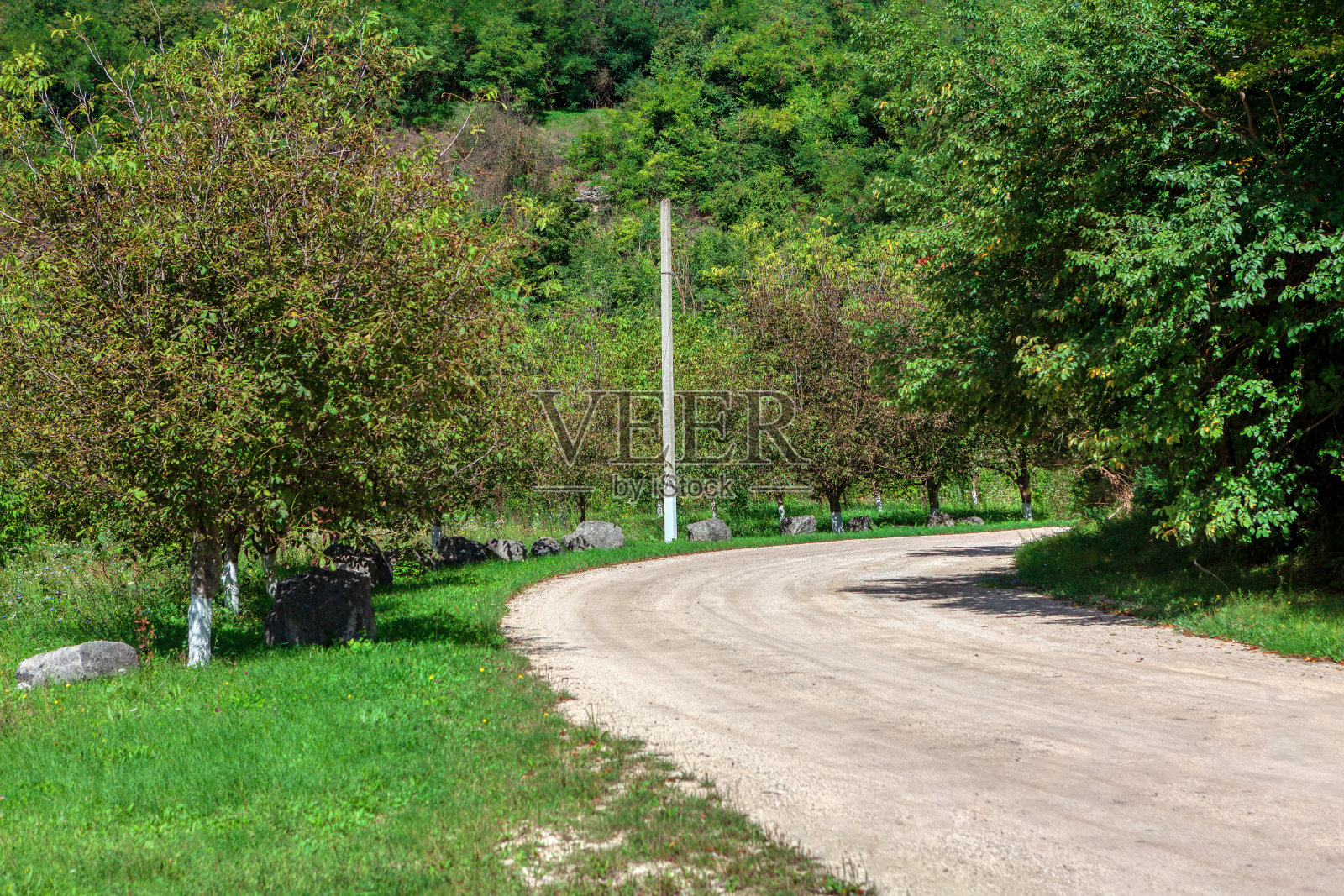 夏天蜿蜒的乡间小路照片摄影图片