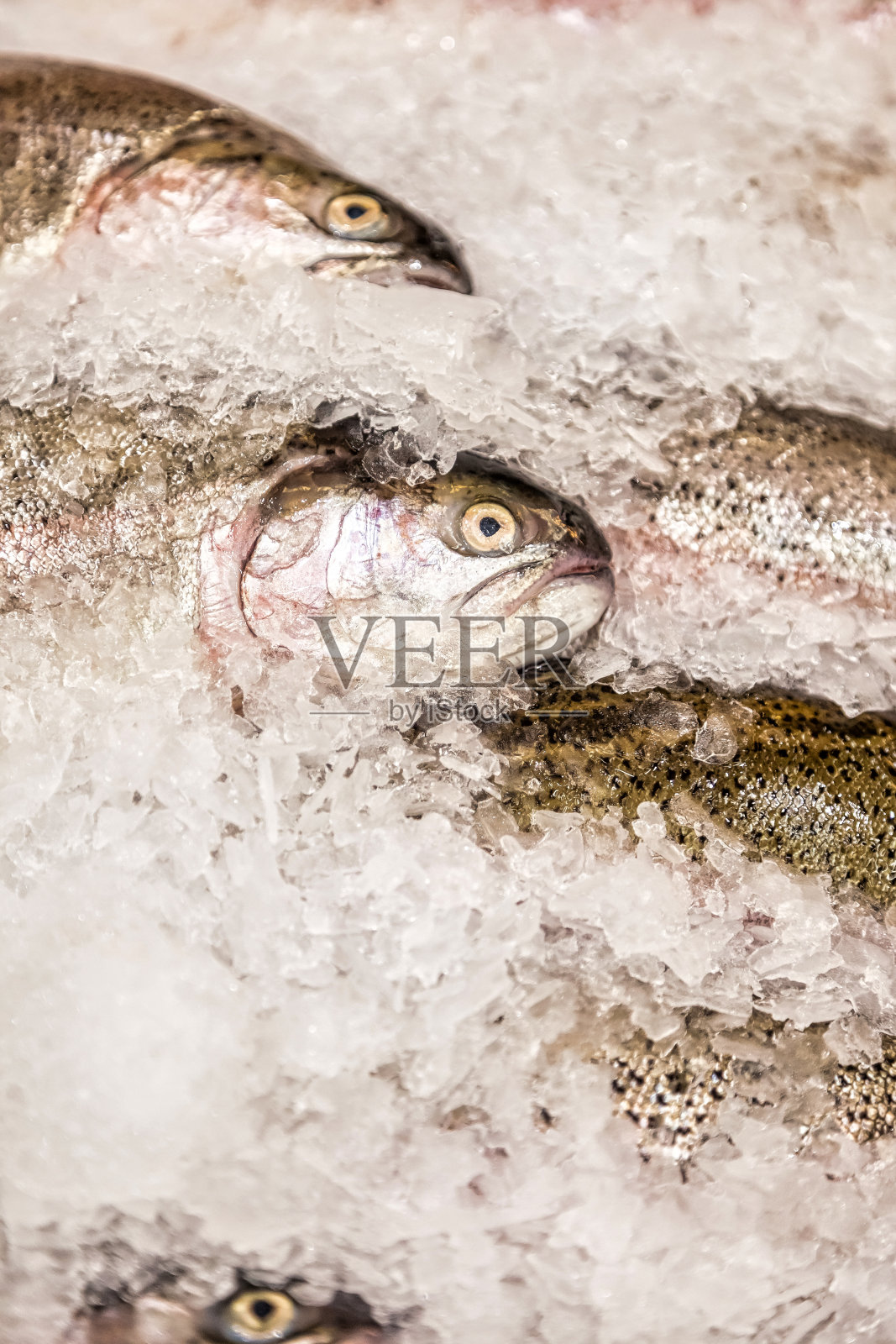 鱼市场的新鲜海鲜加碎冰照片摄影图片