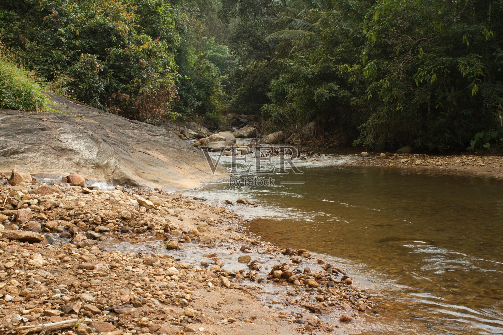 森林中的山涧照片摄影图片