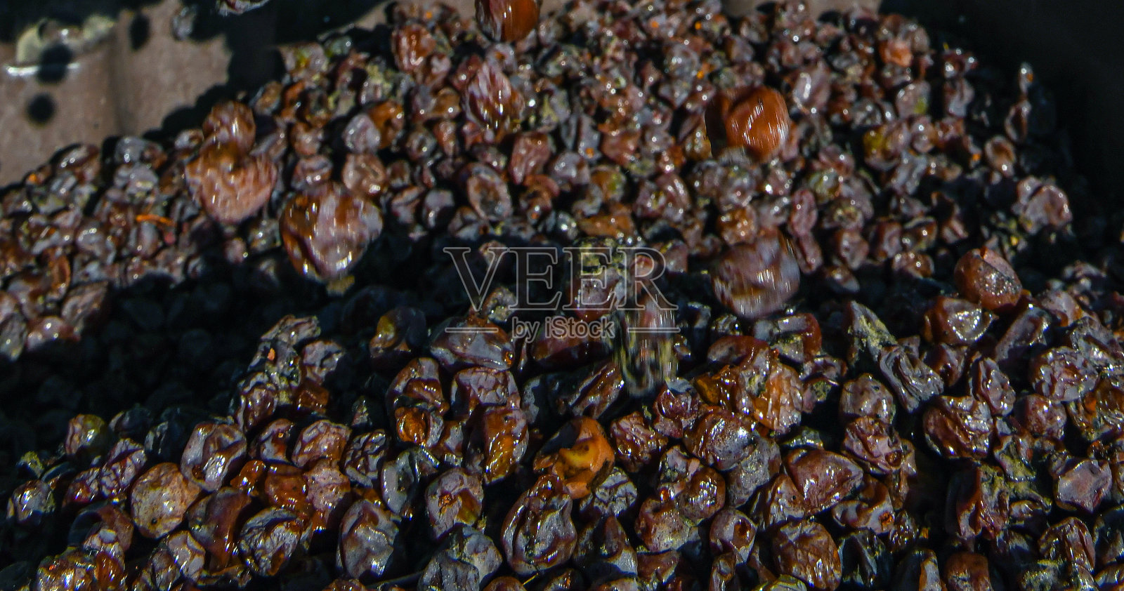 秋天的葡萄照片摄影图片