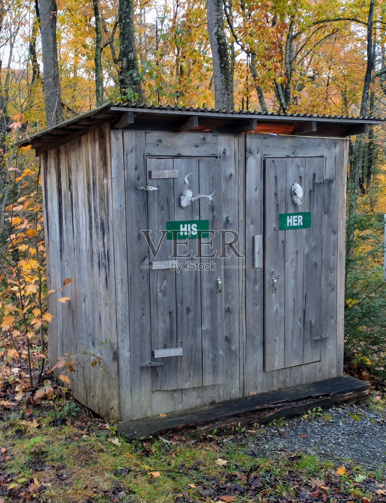 他n她照片摄影图片