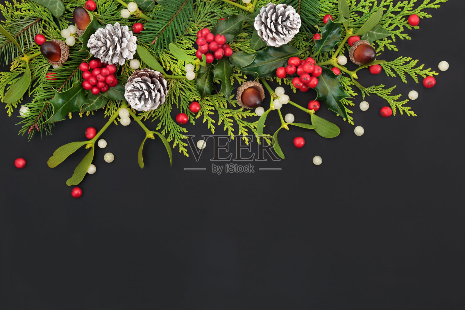 自然冬季新年花卉背景照片摄影图片