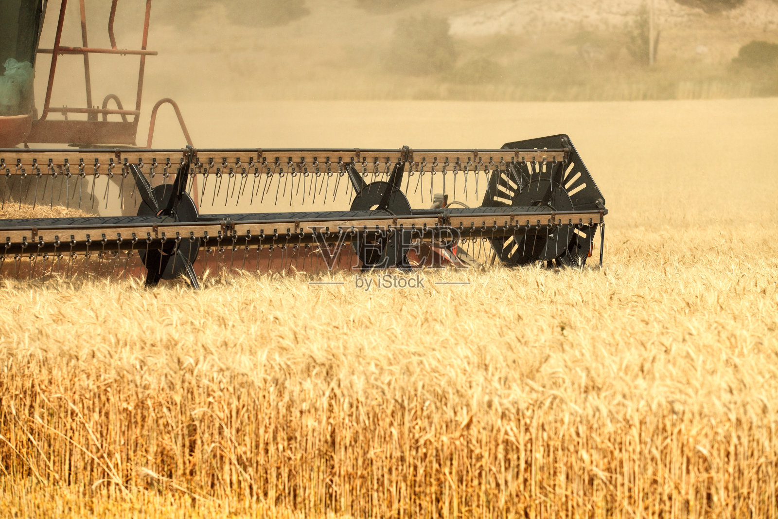 收割小麦照片摄影图片