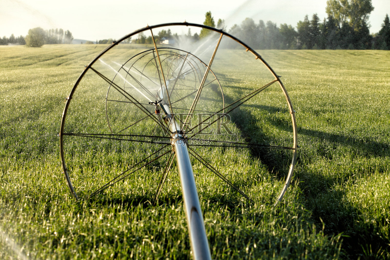 农业灌溉轮线照片摄影图片