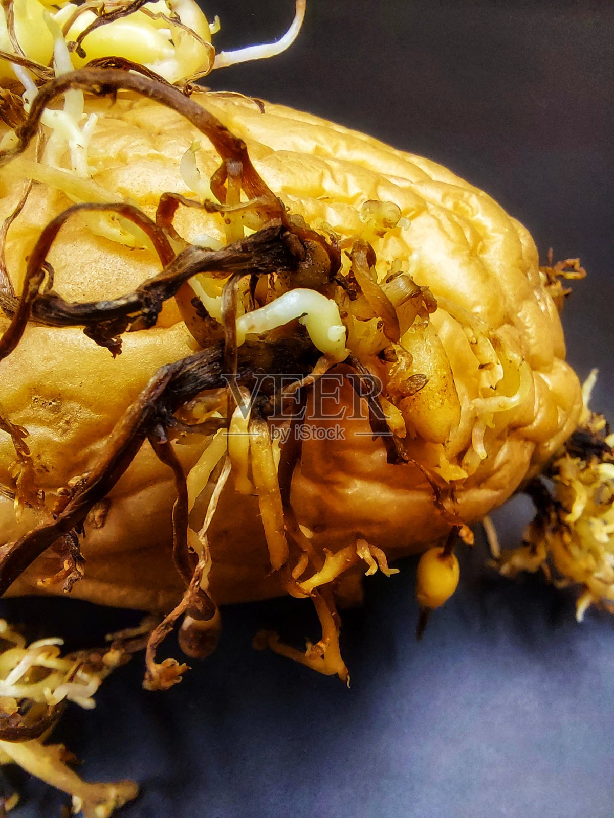 黑地上的恐吓土豆。照片摄影图片