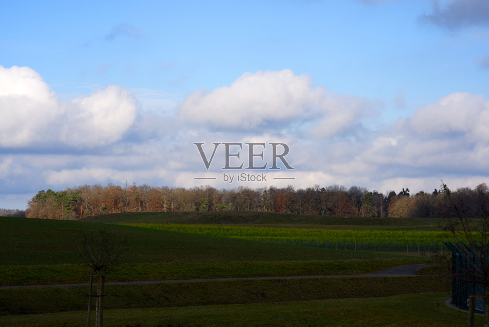 美丽的风景附近的冬季景观与农田多云的天空和森林的背景。照片摄影图片