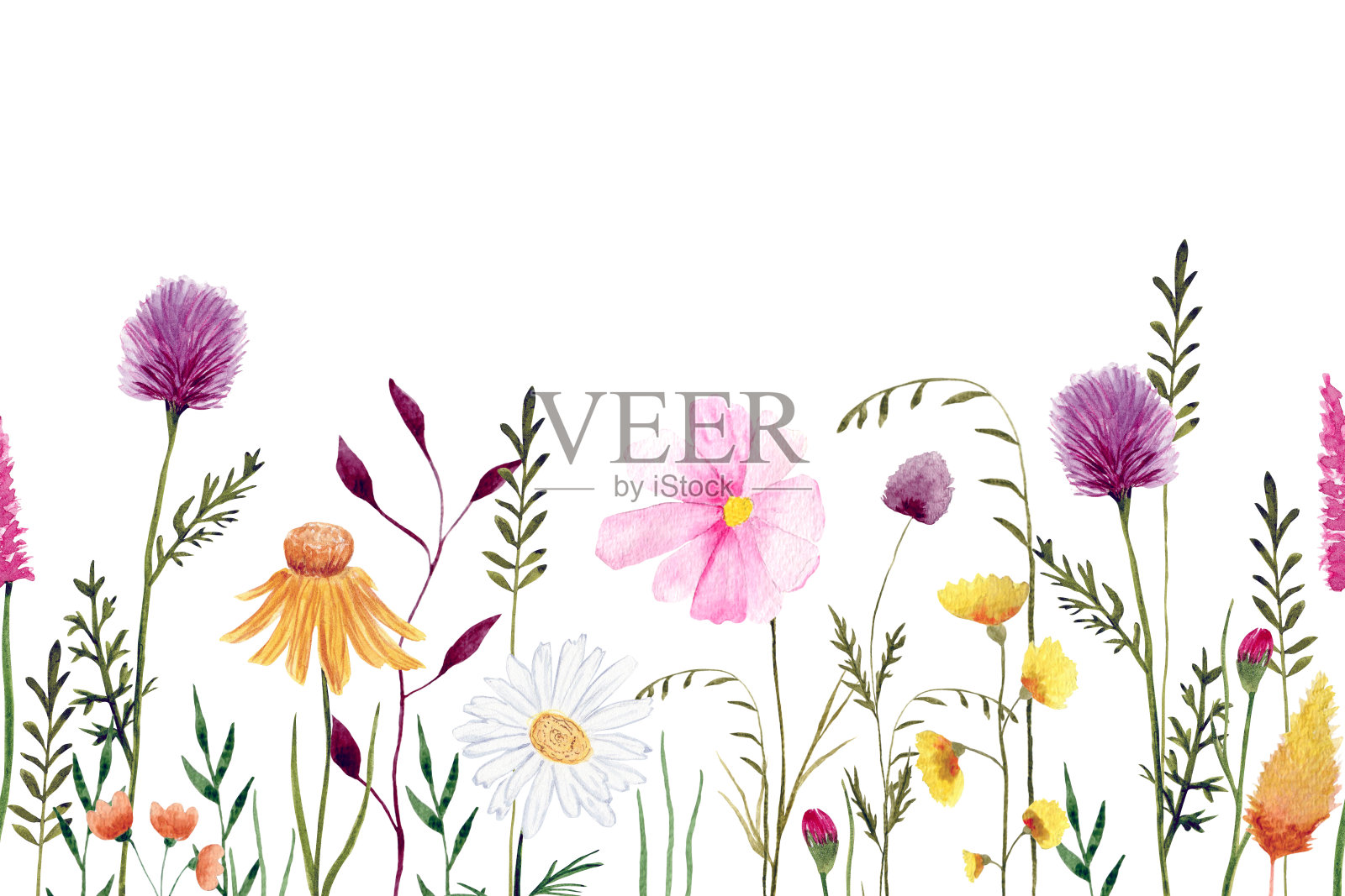 无缝水平图案与野花插图。插画图片素材