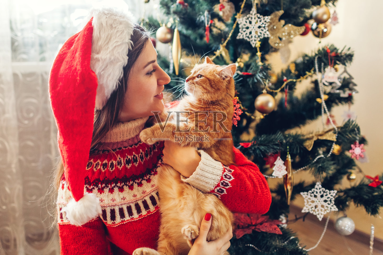 和猫一起庆祝圣诞节。在家里的圣诞树旁，一个女人抱着戴着圣诞老人帽子的宠物玩耍。照片摄影图片