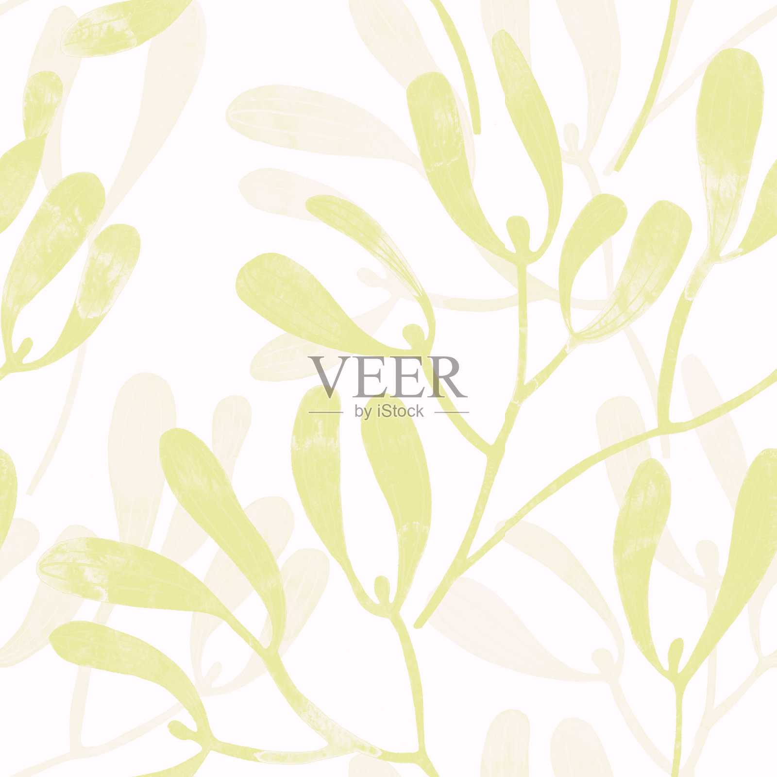 花卉无缝图案与槲寄生枝水彩插画图片素材