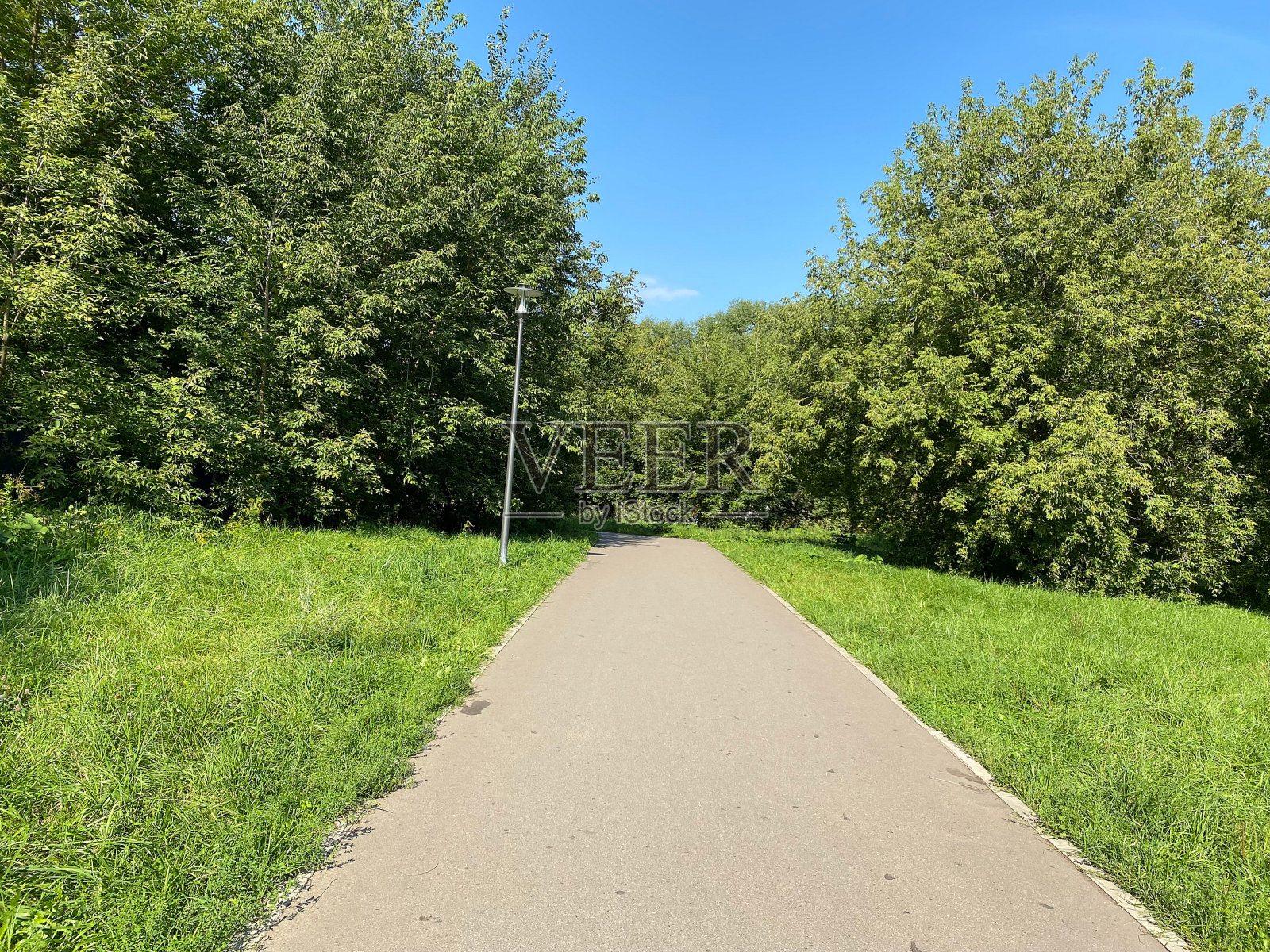 夏天在城市公园在干燥的晴天照片摄影图片