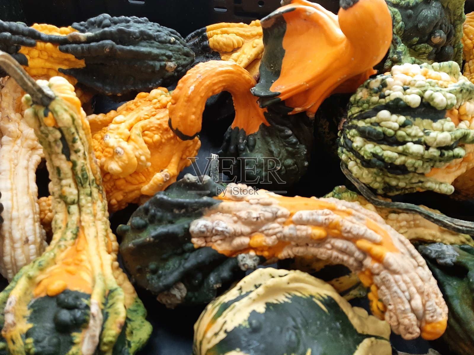 葫芦照片摄影图片