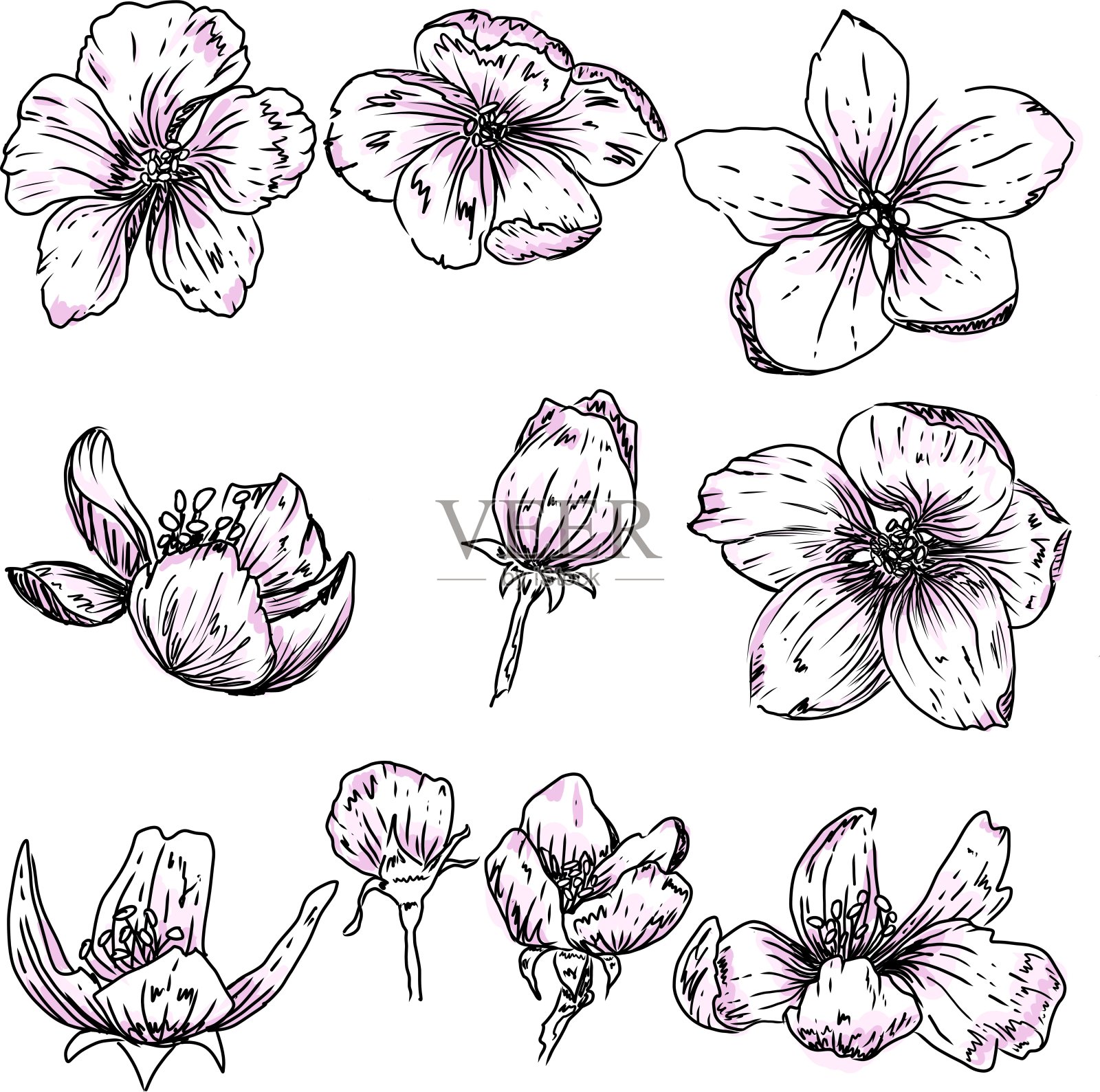 集插画图片素材