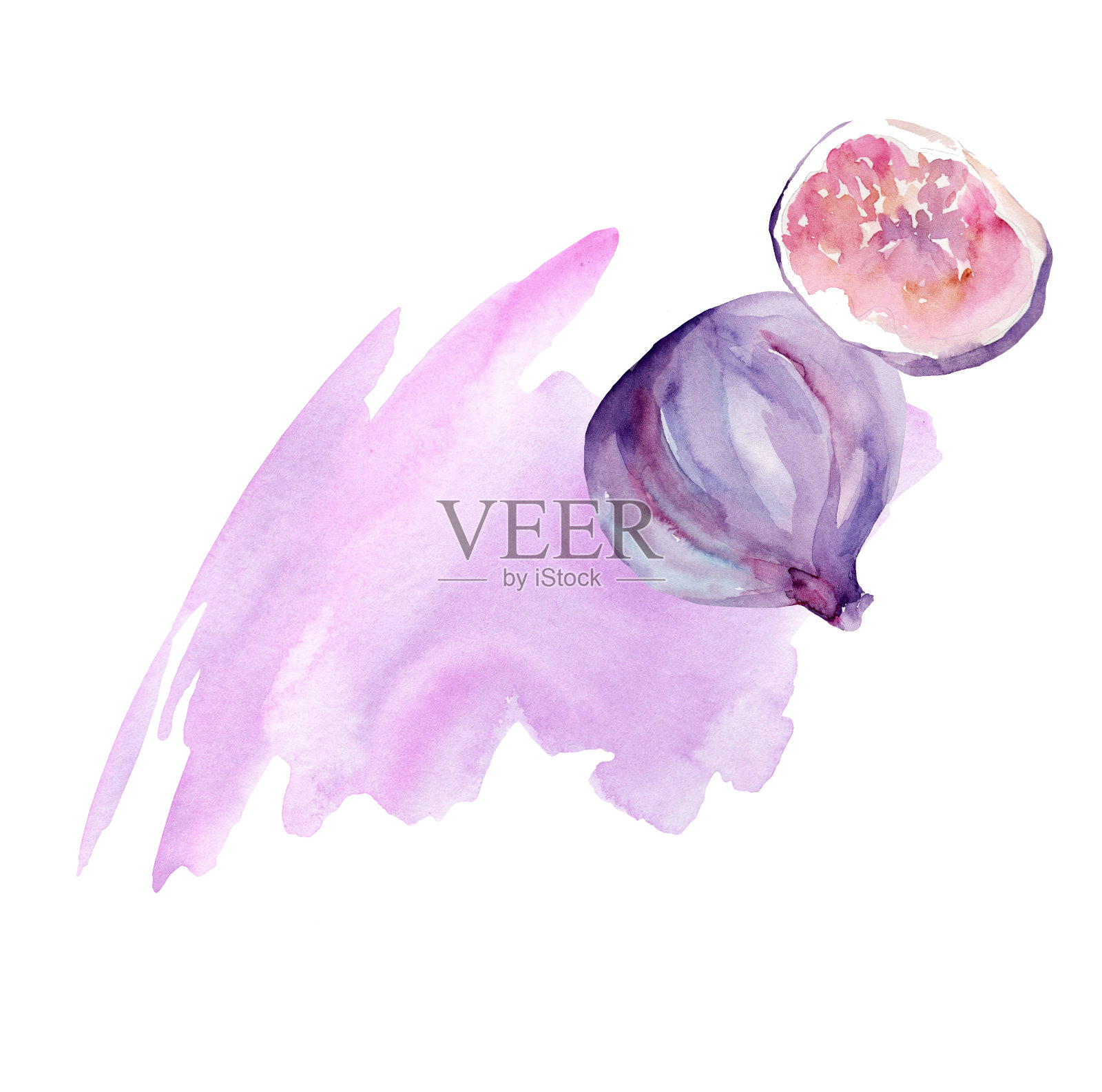 图。水彩插图孤立的白色背景。插画图片素材