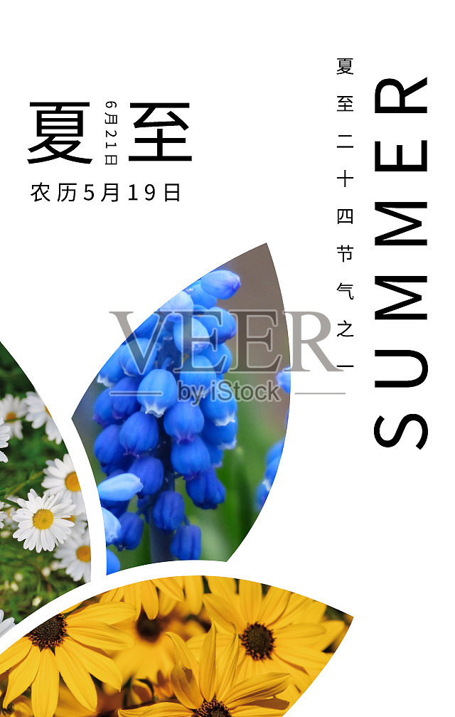 创意简约清晰夏至手机海报设计模板素材