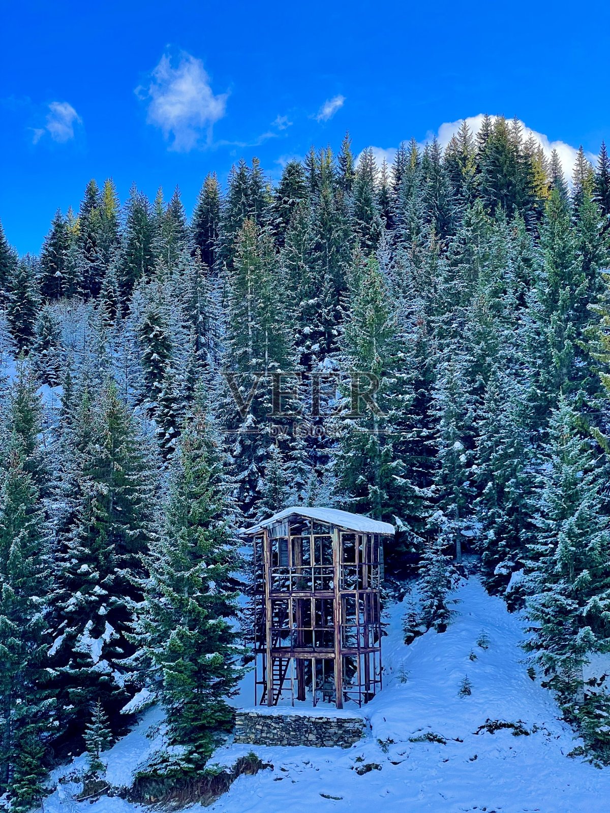 树屋照片摄影图片