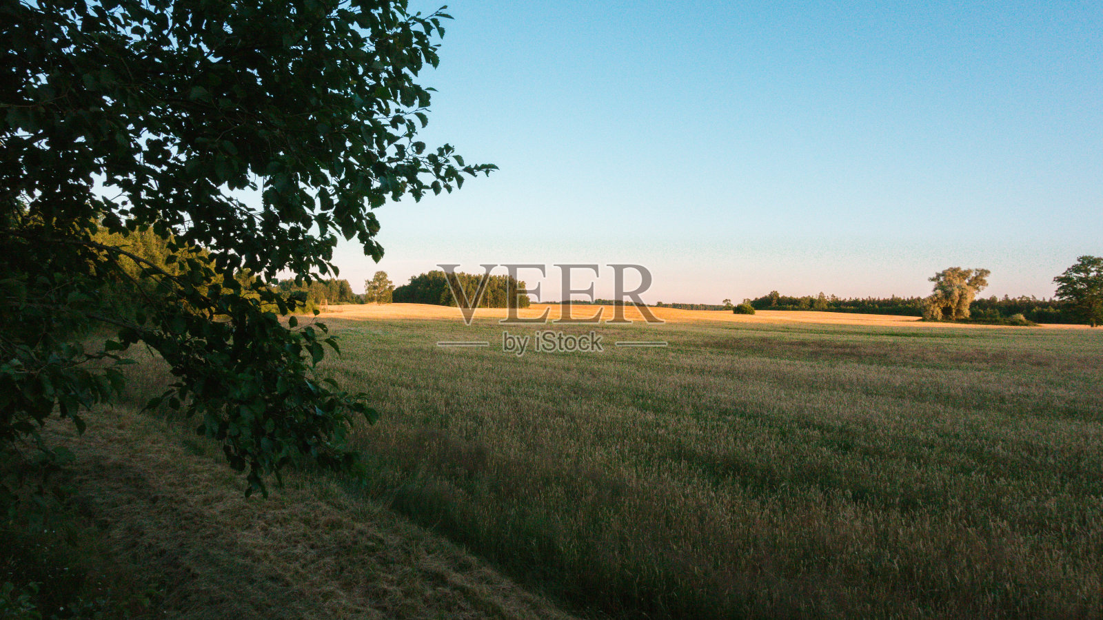 从狩猎塔望去照片摄影图片