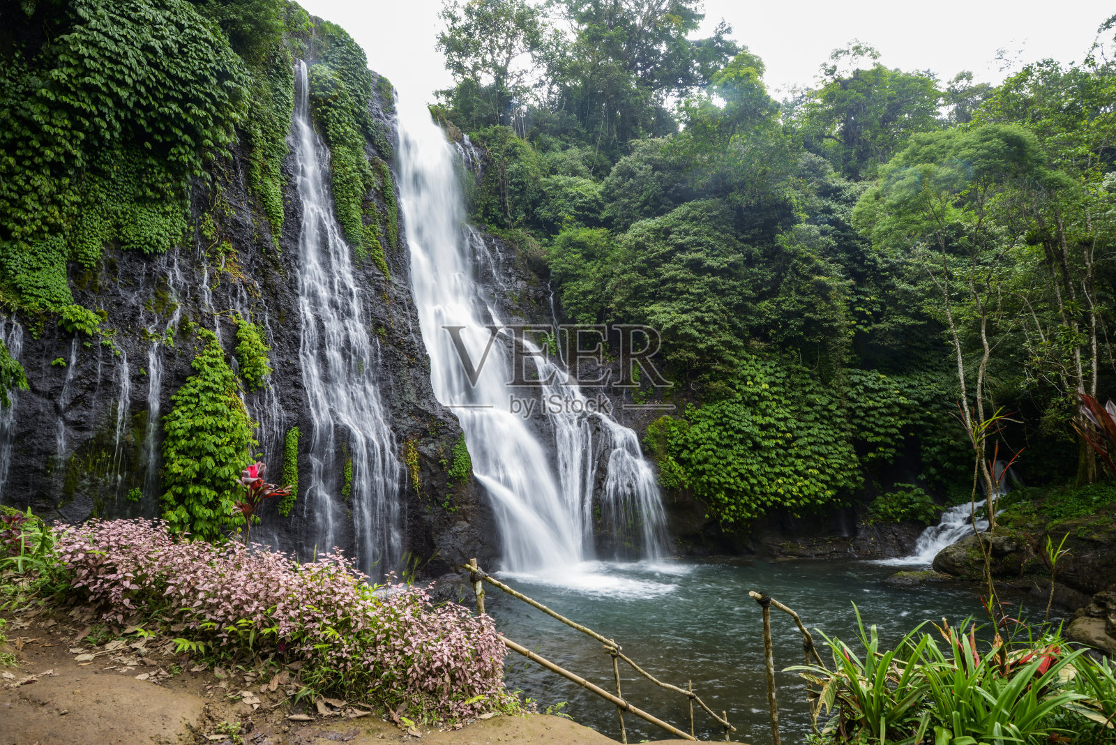 美丽的瀑布在生态系统和雨林周围的绿化照片摄影图片