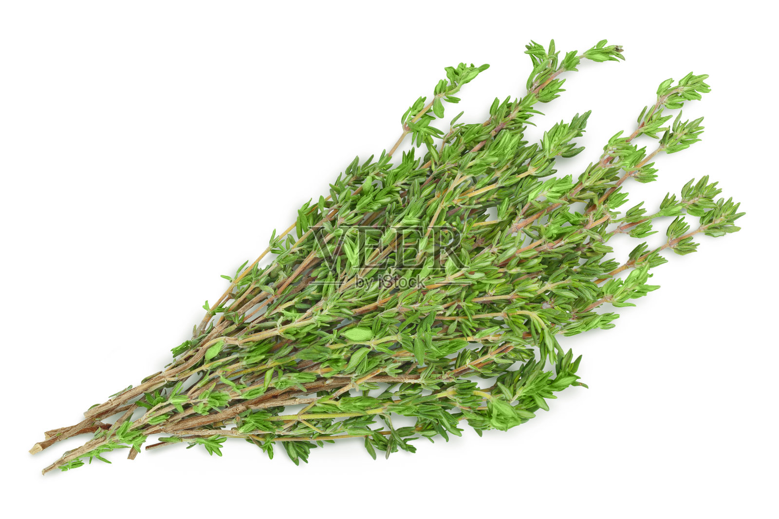 新鲜百里香孤立在白色背景与剪影路径和全景深，俯视图。平躺照片摄影图片