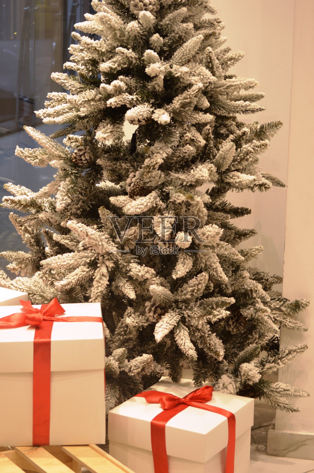 圣诞树照片摄影图片