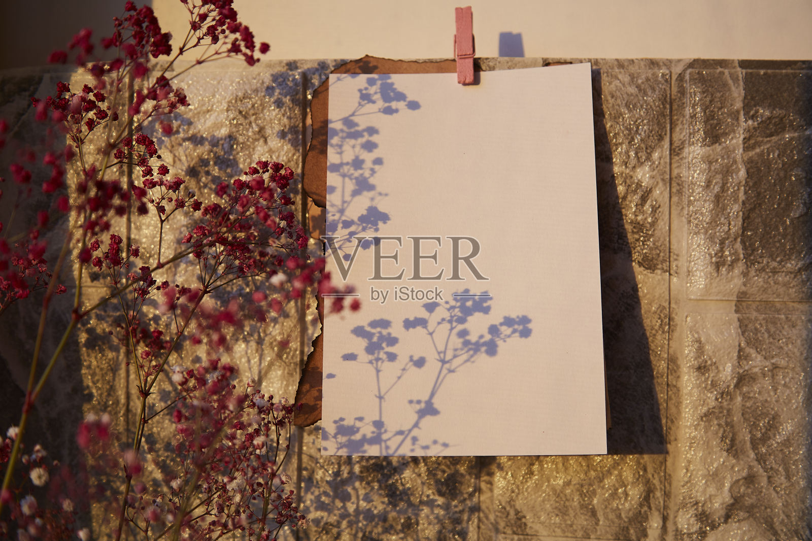 空的模型信，生日贺卡，周年纪念贺卡，许愿单。时髦的吉普赛花的影子照片摄影图片