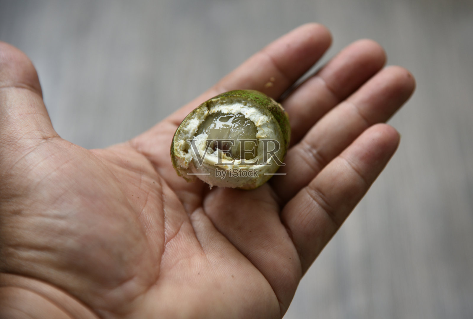 羽叶柚子，番石榴照片摄影图片