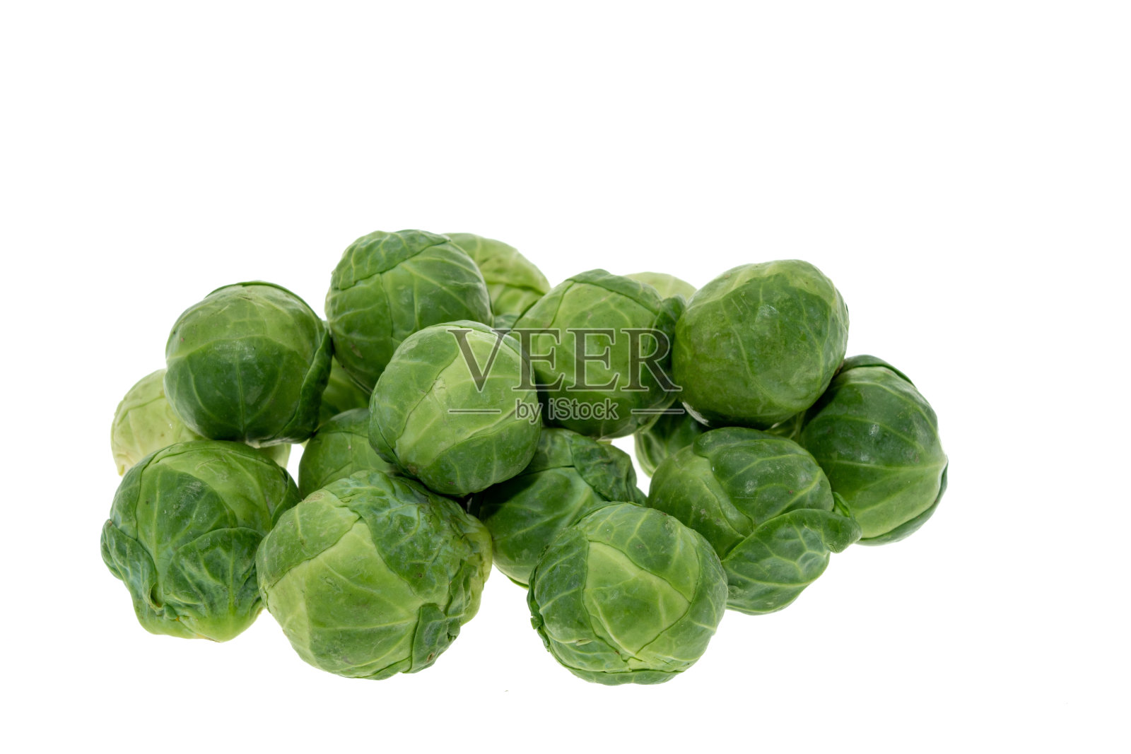 布鲁塞尔芽-白色背景照片摄影图片