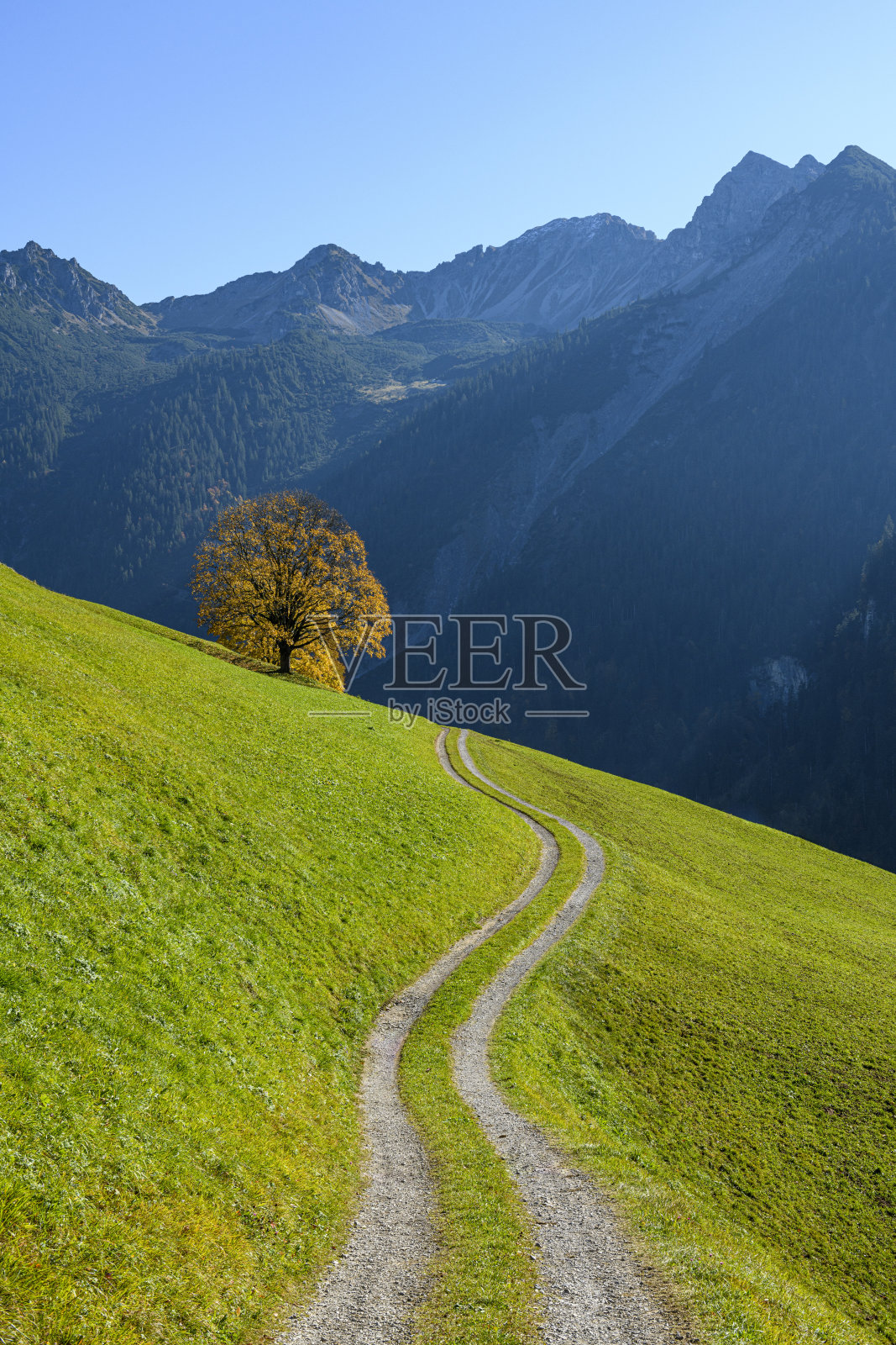 弯曲的乡间小路照片摄影图片