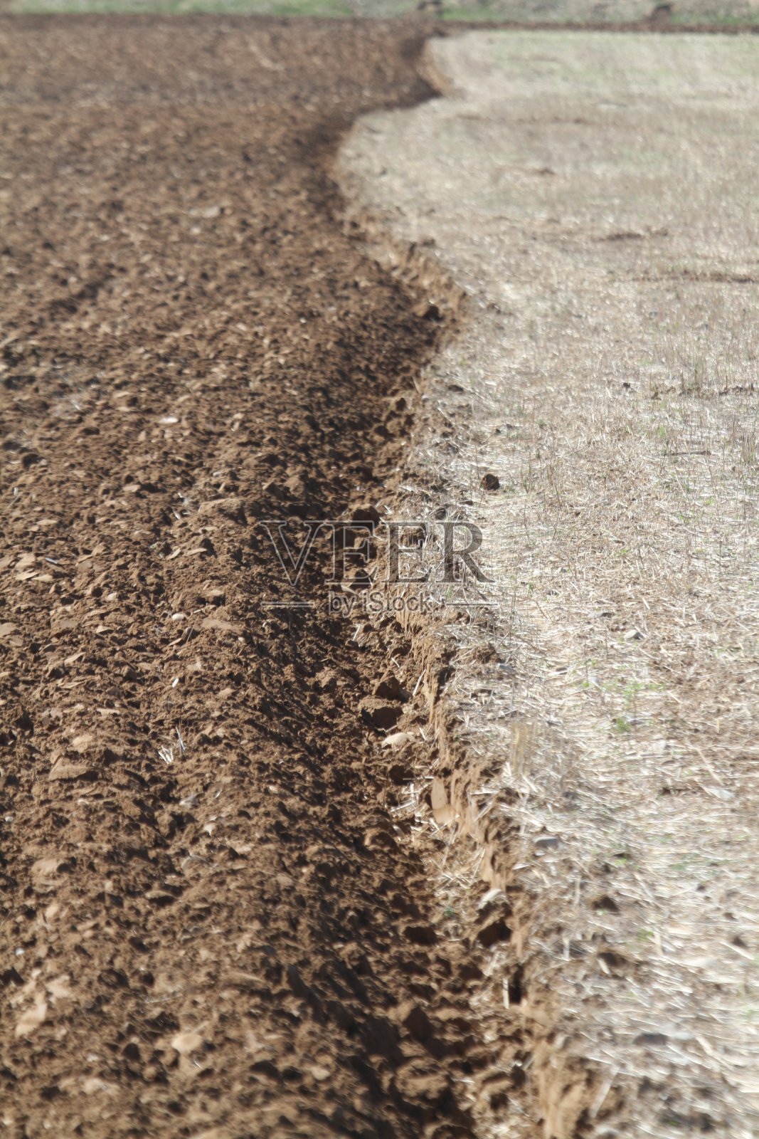 农业用土壤照片摄影图片