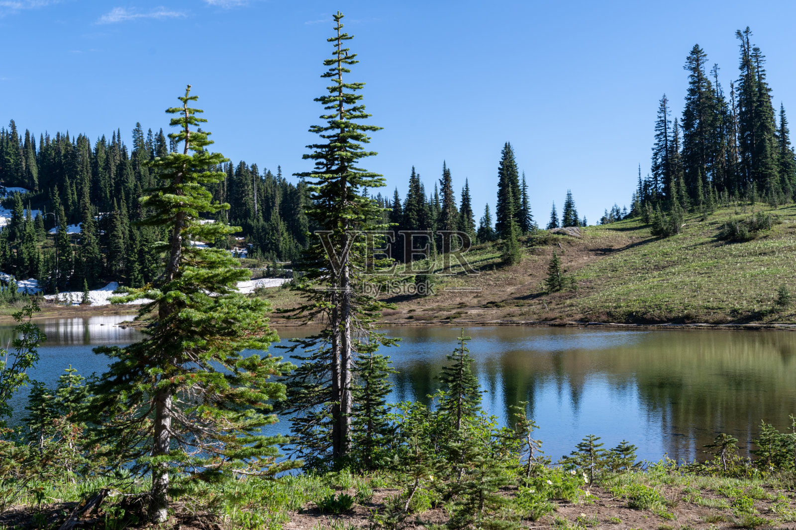 雷尼尔山国家公园的提素湖照片摄影图片
