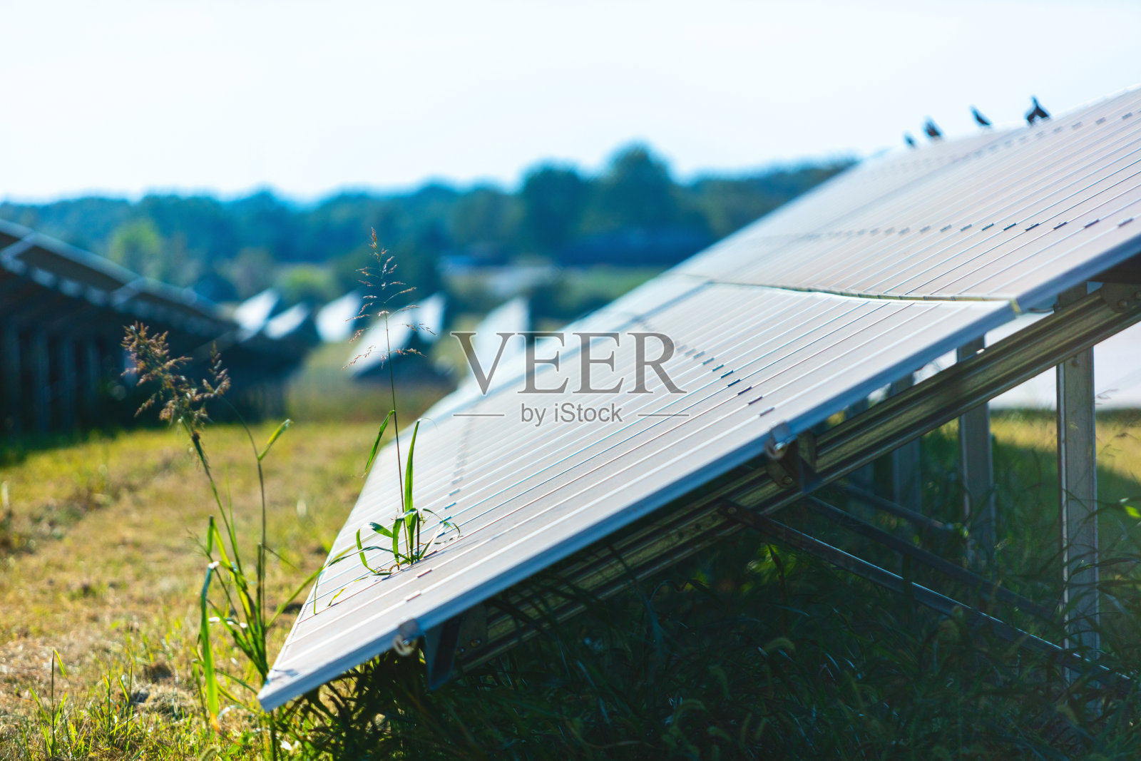 美国中西部和西部的可持续性绿色能源太阳能电池板照片系列照片摄影图片