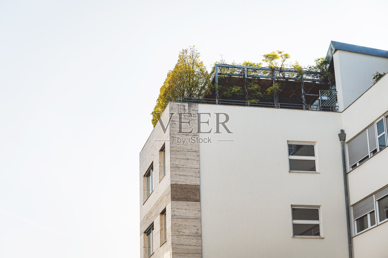 城市现代高层建筑的绿色屋顶露台照片摄影图片