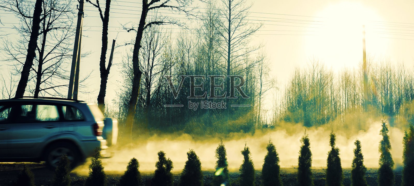 汽车驶过尘土飞扬的森林道路照片摄影图片