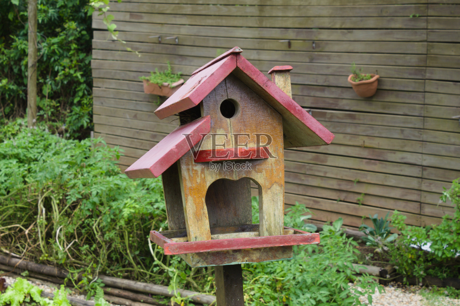 树林里的鸟窝照片摄影图片