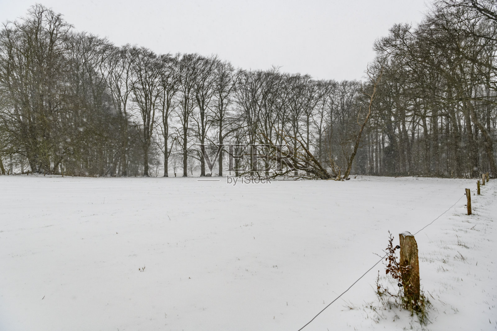 在一个寒冷的冬日里，在Zwolle附近的Soeslo庄园的雪景照片摄影图片