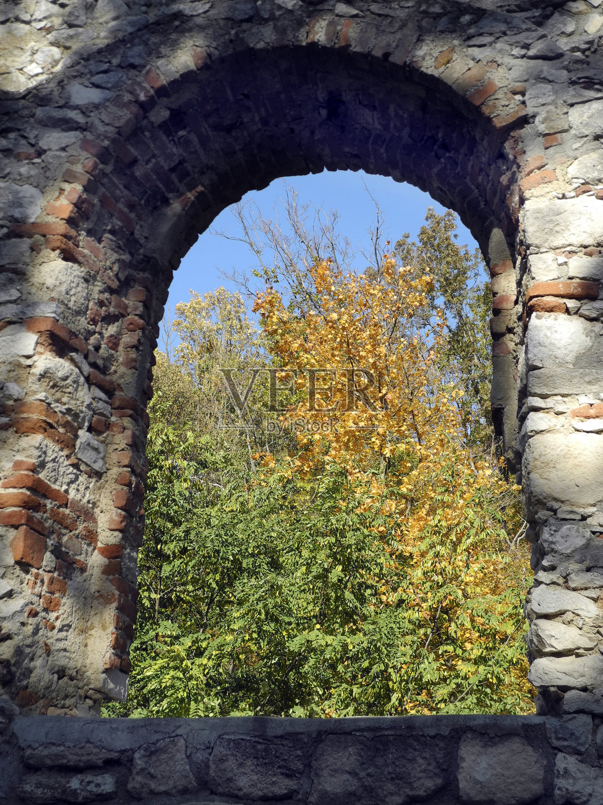 奥地利，废墟和秋叶照片摄影图片