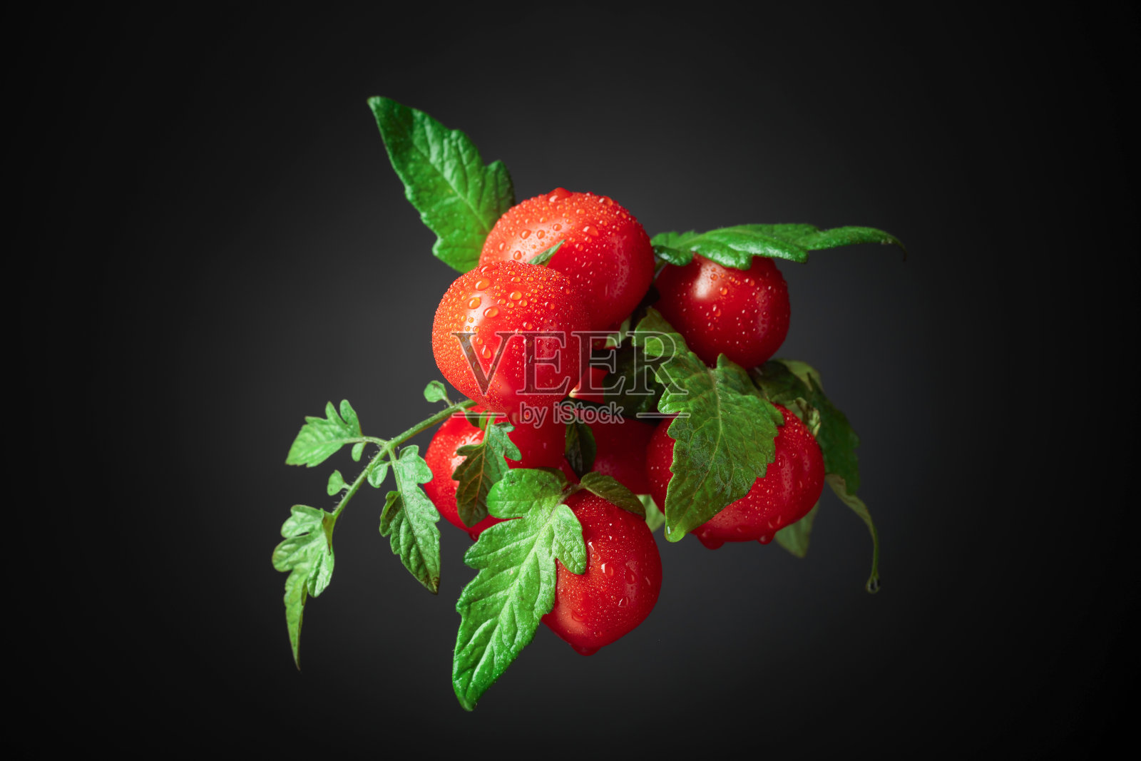 带叶子的新鲜樱桃番茄。照片摄影图片